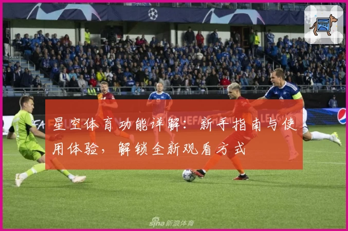 星空体育功能详解：新手指南与使用体验，解锁全新观看方式