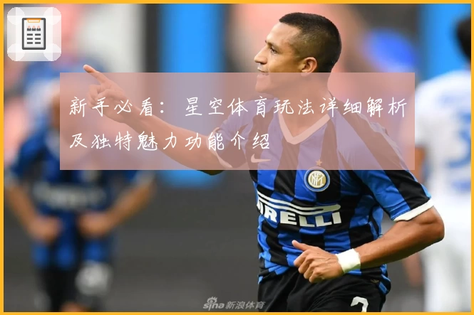 新手必看：星空体育玩法详细解析及独特魅力功能介绍
